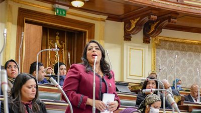 النائبة مرثا محروس: التنسيقية قدمت نموذجًا محترفًا  في العمل السياسي  