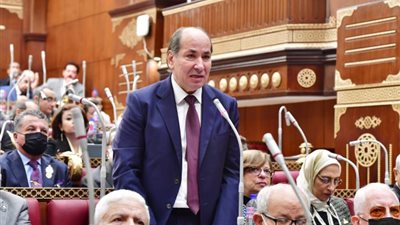 خالد قنديل يطالب بإلزام الجامعات ببرامج تنمية مستدامة لخريجي كليات التربية 