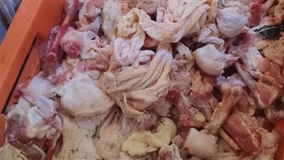 ضبط 2.35 طن دواجن مجهولة المصدر بشبرا الخيمة في القليوبية 
