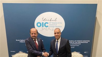 اجتماع وزير الخارجية والهجرة مع وزير خارجية اليمن في اسطنبول