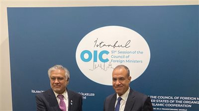 وزير الخارجية والهجرة يلتقي بنظيره الباكستاني في اسطنبول