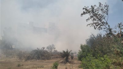 السيطرة على حريق بأرض فضاء بمدينة بنى سويف دون خسائر بشرية 