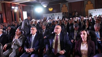 محافظ الجيزة: