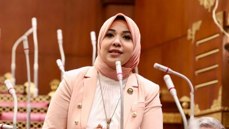 النائبة دينا هلالي