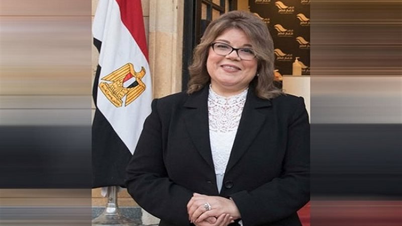 النائبة فيبي فوزي،