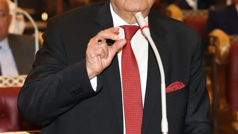 المستشار بهاء ابوشقة