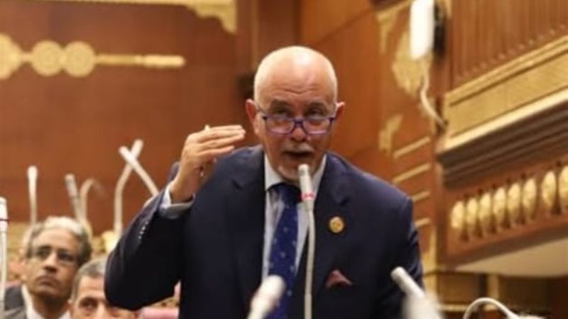 النائب المهندس حازم