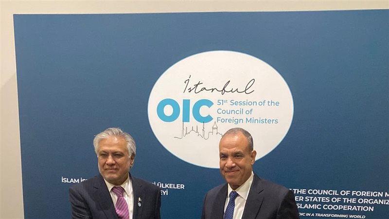 وزير الخارجية المصري