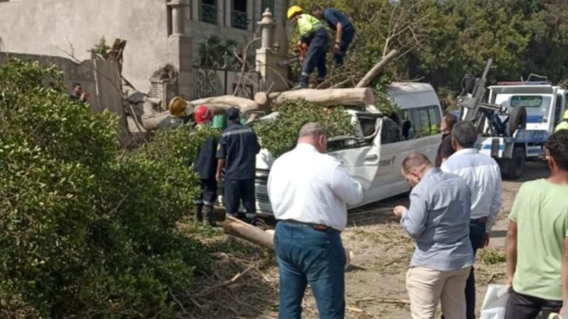 سقوط شجرة على ميكروباص