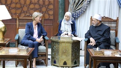 شيخ الأزهر: الحروب الراهنة تتجاوز كل القيم الإنسانية وتقوض فرص السلام