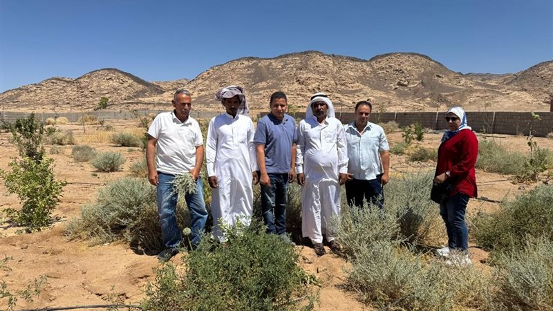  المرحلة الثانية