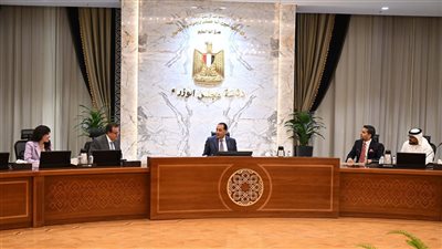 رئيس الوزراء يستعرض مع رئيس مؤسسة برجيل القابضة التعاون في مجال زرع النخاع