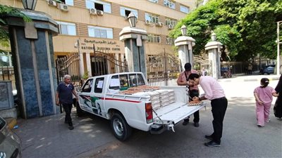  إطلاق منافذ متنقلة لطرح البيض البلدي والأسماك للمواطنين بأسعار مخفضة