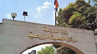 تأخر الرواتب يثير غضب العاملين بمركز البحوث الزراعية: 