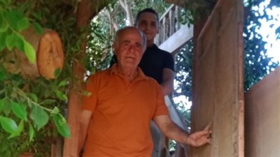 على طريقة ديزني.. محي إبراهيم يصنع عالمه الأخضر فوق شجرة