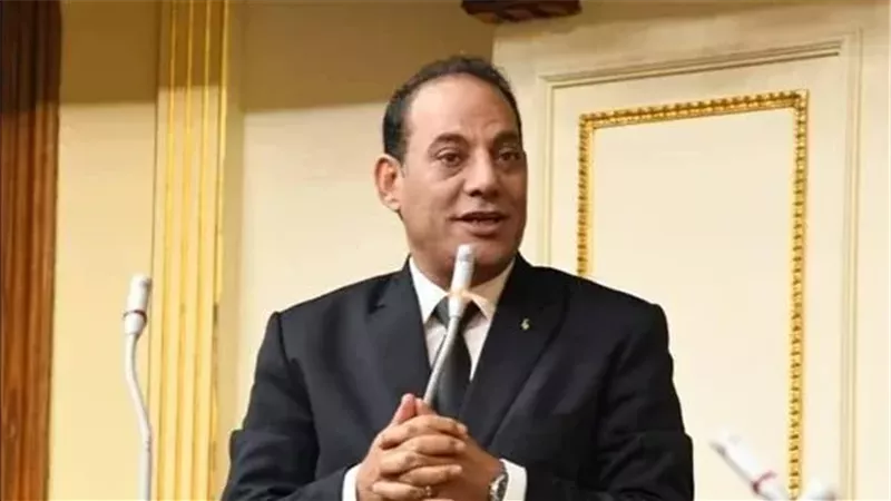 النائب إبراهيم عويس