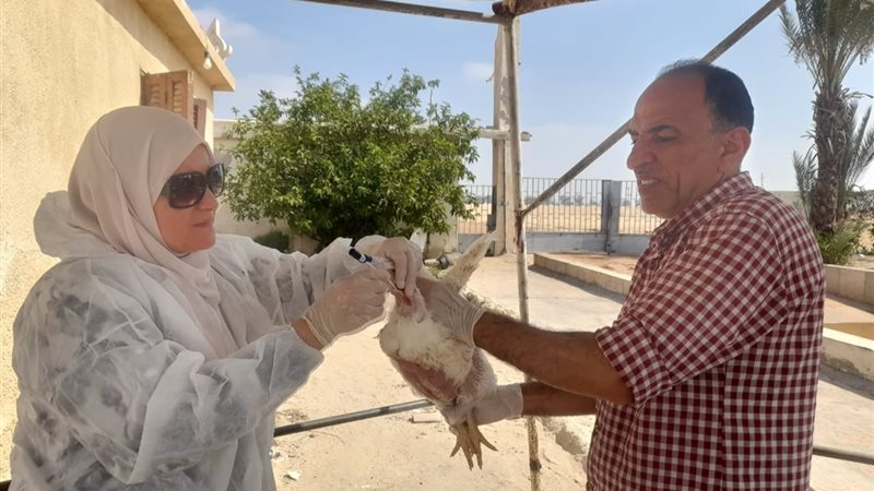 حملات التقصي الوبائي