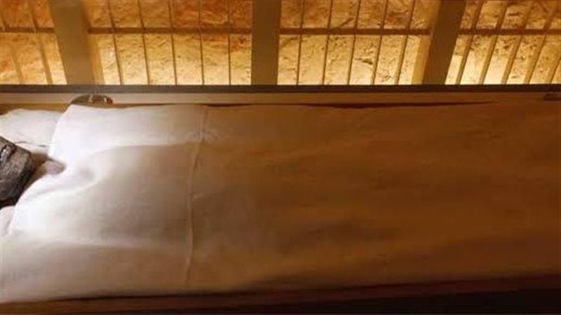 مومياء الملك توت