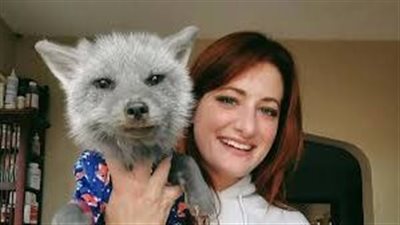 حملة تنمر تنهي حياة مؤثرة أمريكية أنقذت آلاف الحيوانات