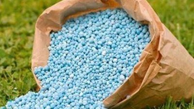 أبو المكارم: صادرات الصناعات الكيماوية تقترب من 11 مليار دولار بنهاية 2025