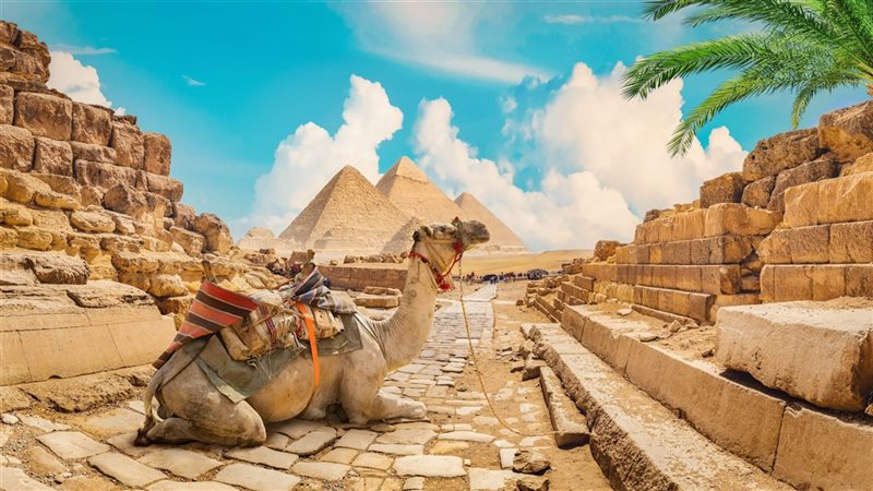 أرشيفية