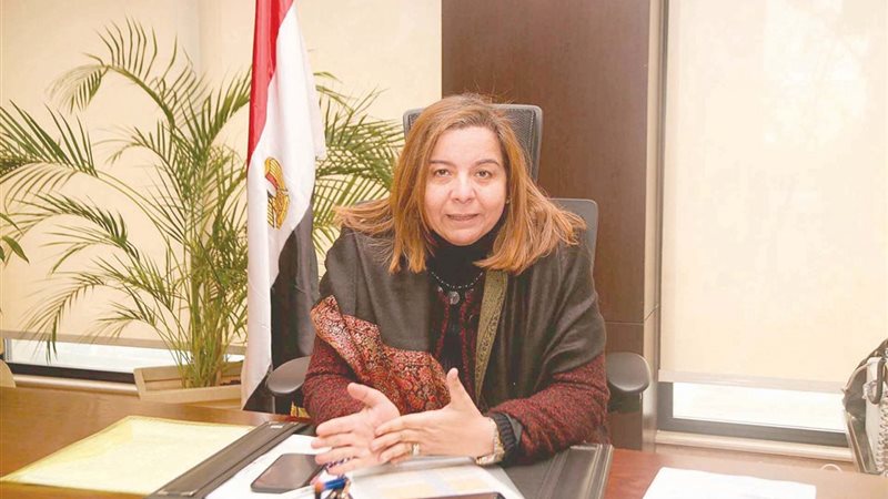 مي عبدالحميد