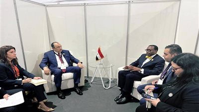 وزير قطاع الأعمال يبحث مع البنك الإفريقي تعزيز التعاون الصناعي والزراعي