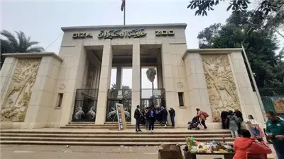 بشرى سارة من مدير حديقة الحيوان: الافتتاح نهاية العام طبقًا للمعايير الدولية