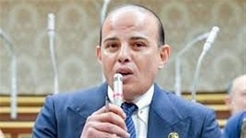 عمرو القطامي