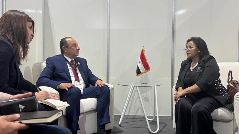 وزير قطاع الأعمال