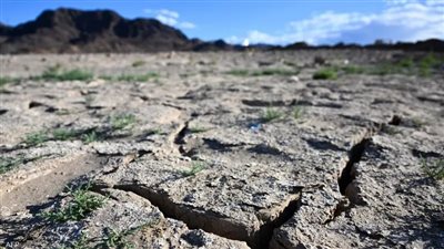 تحذيرات للمزارعين.. أستاذ مناخ: ارتفاع الحرارة يهدد المحاصيل 