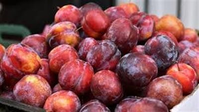 تناول البرقوق يوميًا.. فوائد مذهلة لن تتوقعها             