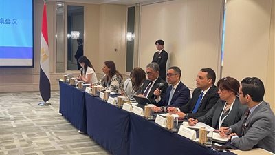 وزير الاستثمار: السيارات الكهربائية ركيزة أساسية للنمو الصناعي