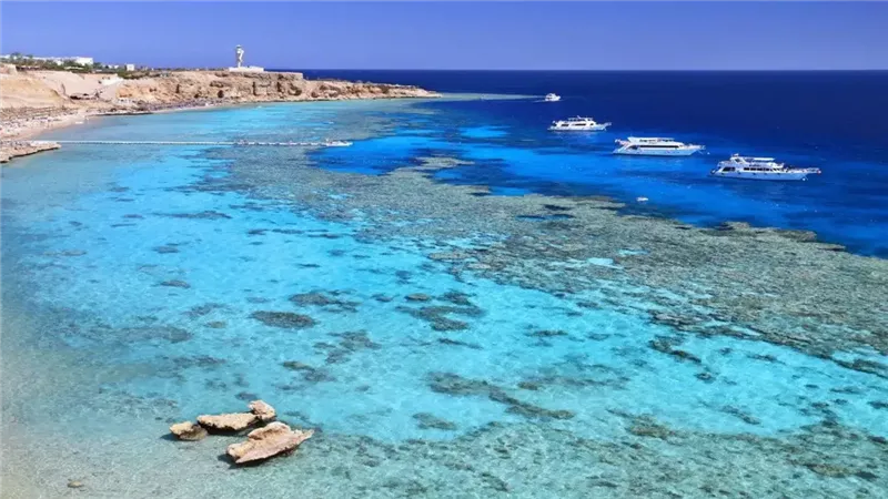 شواطئ مطروح