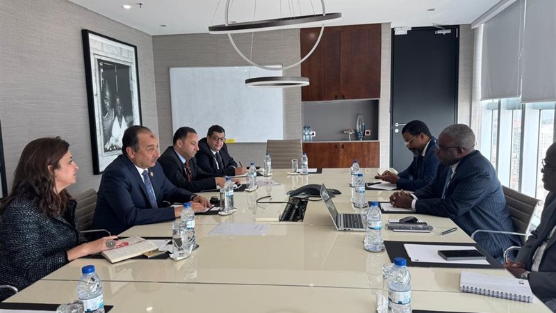 وزير قطاع الأعمال