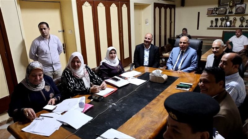 محافظ المنيا