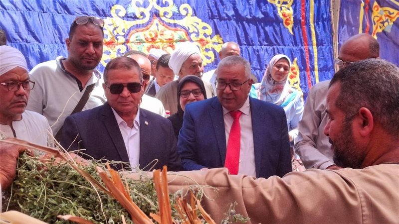 محافظة الاقصر