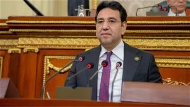 النائب أيمن محسب