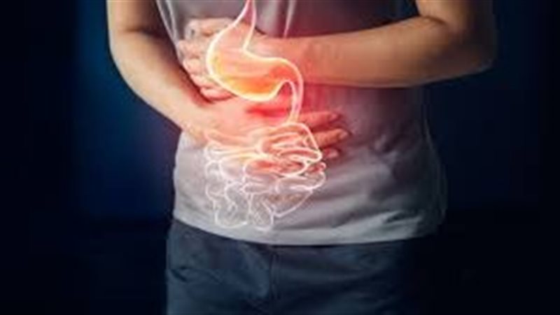 الجهاز الهضمي