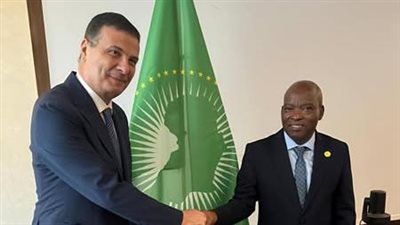  وزير الزراعة يلتقي المفوض الزراعي الإفريقي لبحث التعاون المشترك بروما 