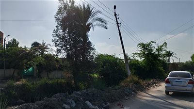 بعد مأساة المنوفية.. من ينقذ أرواح الأبرياء على طرق القليوبية؟