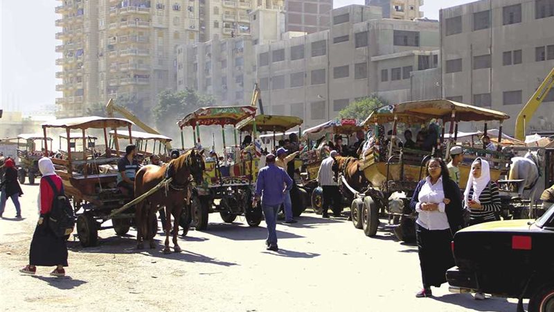 الحضرة