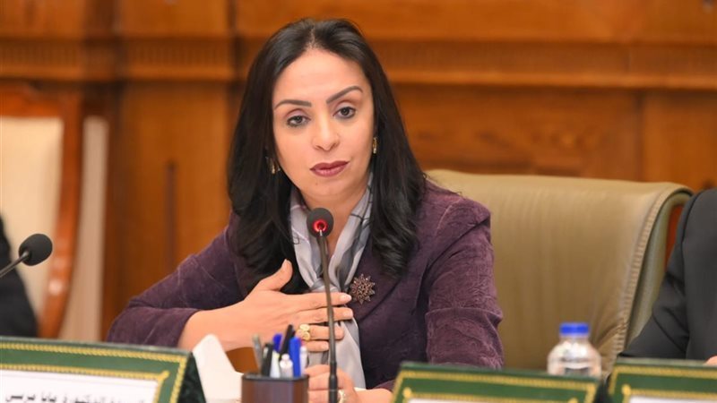 الدكتورة مايا مرسى