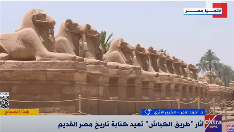 الدكتور أحمد عامر