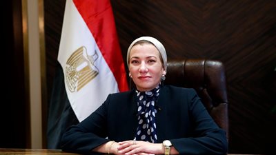 وزيرة البيئة: تركيب 9 أجهزة تتبع، وتجميع 14 عينة من أسماك القرش لتحديد الصفات 