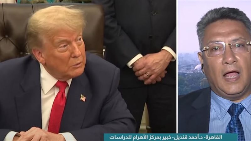 أحمد قنديل