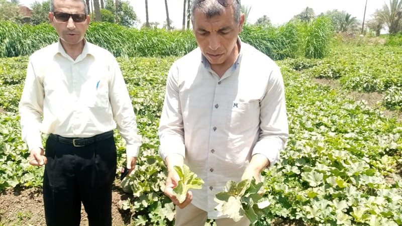 الارشاد الزراعي 