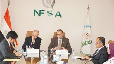 من طوكيو إلى القاهرة.. دعم ياباني لمصر في الرقابة الغذائية والتدريب الفني