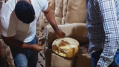 سلامة الغذاء تُكثف حملاتها وتُعزز الرقابة على الأسواق والمطاعم والمجازر