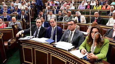 وزير المالية: تعديلات القيمة المضافة لن تمس السلع الأساسية 